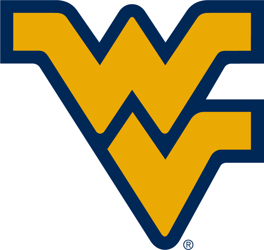 West Virginia Mountaineers 2016-Pres Alternate Logo t shirts iron on transfers...